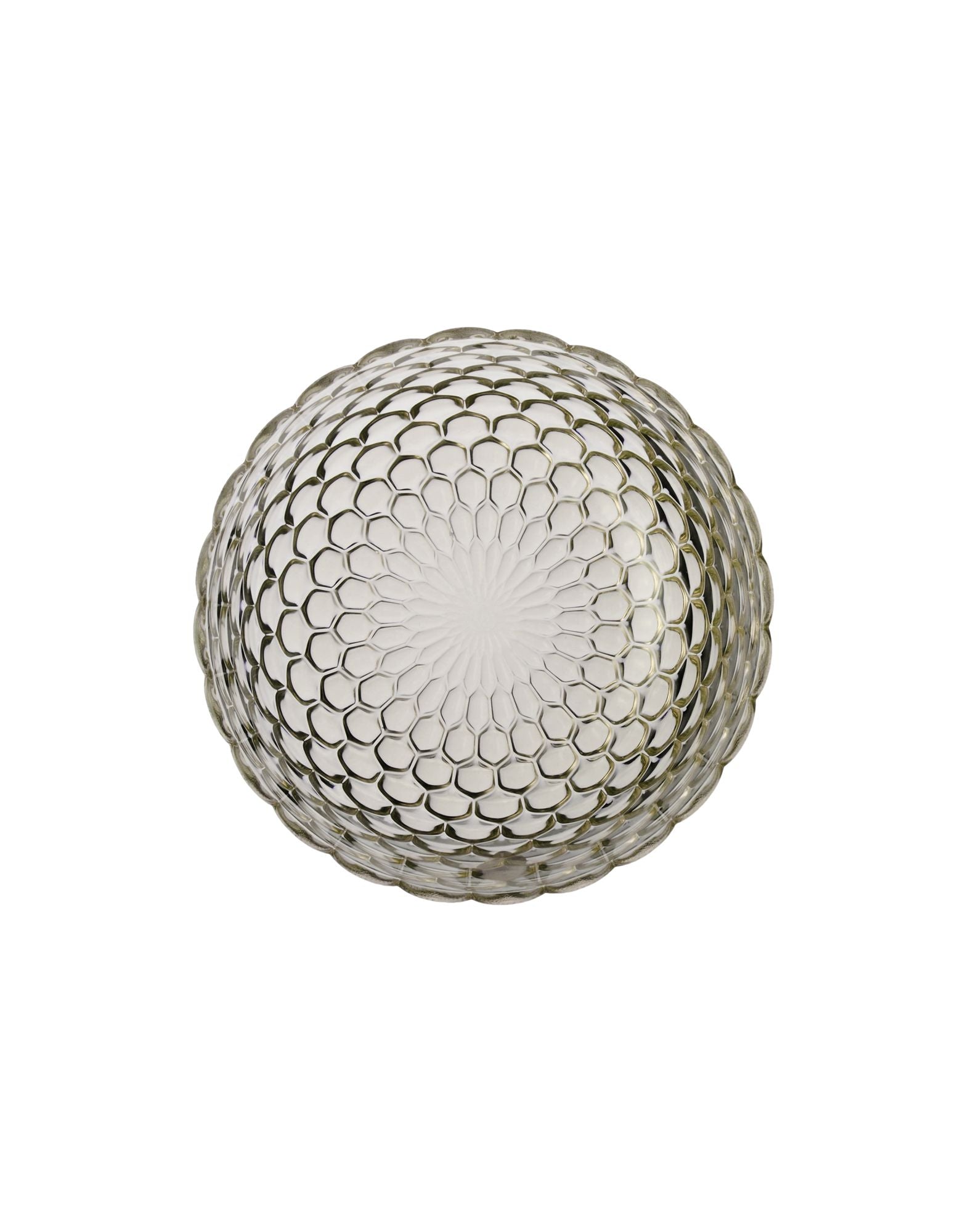 CIOTOLA D. 140 JELLIES FAMILY