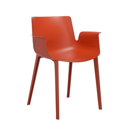 PIUMA ARANCIO RUGGINE 