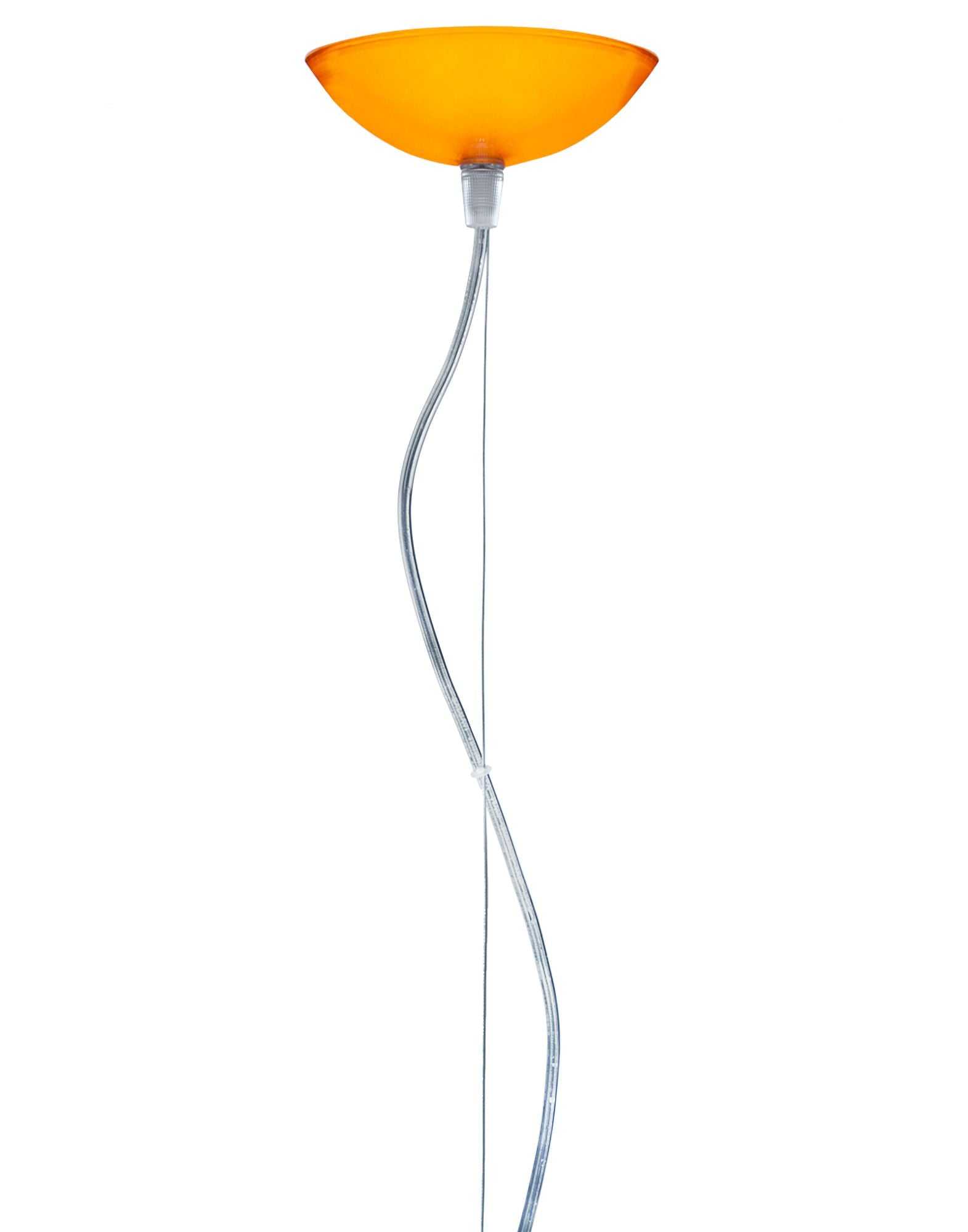 FL/Y ARANCIO